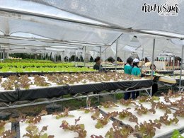 โรงเรียนมารีวิทย์ สัตหีบ 05 พฤศจิกายน 2568