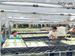 โรงเรียนมารีวิทย์ สัตหีบ 05 พฤศจิกายน 2568