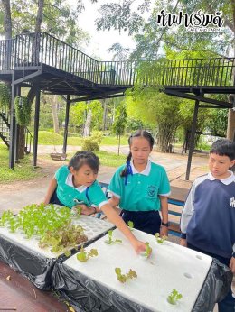 โรงเรียนมารีวิทย์ สัตหีบ 05 พฤศจิกายน 2568