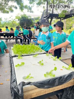 โรงเรียนมารีวิทย์ สัตหีบ 05 พฤศจิกายน 2568