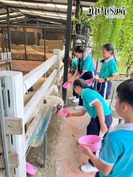 โรงเรียนมารีวิทย์ สัตหีบ 05 พฤศจิกายน 2568