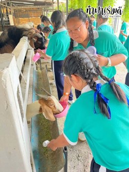 โรงเรียนมารีวิทย์ สัตหีบ 05 พฤศจิกายน 2568