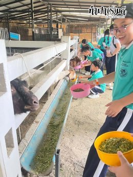 โรงเรียนมารีวิทย์ สัตหีบ 06 พฤศจิกายน 2568