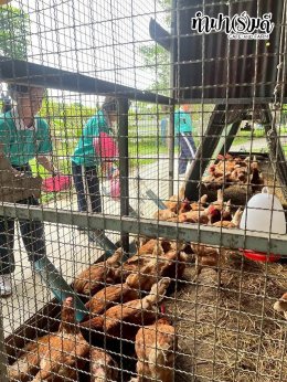 โรงเรียนมารีวิทย์ สัตหีบ 06 พฤศจิกายน 2568