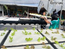 โรงเรียนมารีวิทย์ สัตหีบ 06 พฤศจิกายน 2568