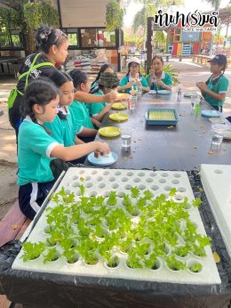 โรงเรียนมารีวิทย์ สัตหีบ 06 พฤศจิกายน 2568