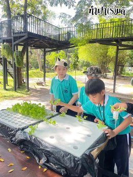 โรงเรียนมารีวิทย์ สัตหีบ 06 พฤศจิกายน 2568