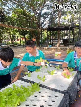 โรงเรียนมารีวิทย์ สัตหีบ 06 พฤศจิกายน 2568