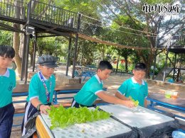 โรงเรียนมารีวิทย์ สัตหีบ 06 พฤศจิกายน 2568