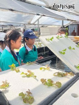 โรงเรียนมารีวิทย์ สัตหีบ 06 พฤศจิกายน 2568