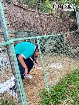 โรงเรียนมารีวิทย์ สัตหีบ 06 พฤศจิกายน 2568