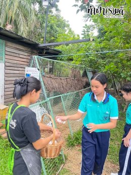 โรงเรียนมารีวิทย์ สัตหีบ 06 พฤศจิกายน 2568