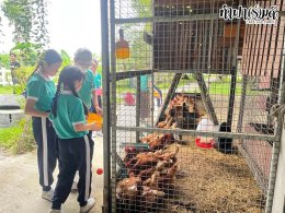 โรงเรียนมารีวิทย์ สัตหีบ 06 พฤศจิกายน 2568