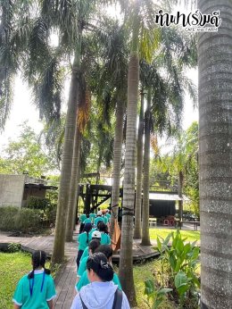 โรงเรียนมารีวิทย์ สัตหีบ 06 พฤศจิกายน 2568