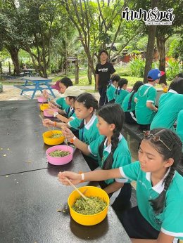 โรงเรียนมารีวิทย์ สัตหีบ 06 พฤศจิกายน 2568