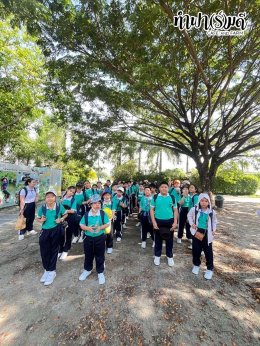 โรงเรียนมารีวิทย์ สัตหีบ 06 พฤศจิกายน 2568