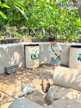 โรงเรียนนานาชาติมูลตรีภักดี 24-25 มีนาคม 2568