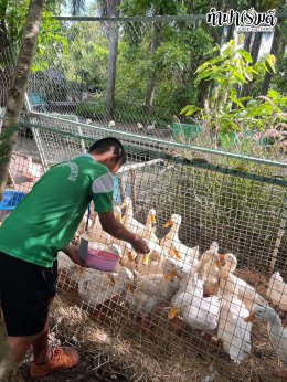 โรงเรียนวัดศรีสุวรรณาราม  12 กันยายน 2568