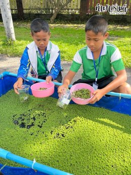 โรงเรียนวัดศรีสุวรรณาราม  12 กันยายน 2568