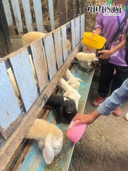 โรงเรียนวัดไผ่แก้ว 05 กันยายน 2568