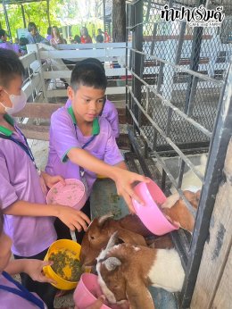 โรงเรียนวัดไผ่แก้ว 05 กันยายน 2568