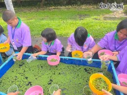 โรงเรียนวัดไผ่แก้ว 05 กันยายน 2568