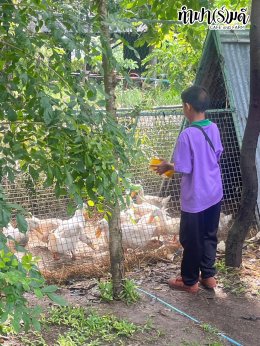 โรงเรียนวัดไผ่แก้ว 05 กันยายน 2568
