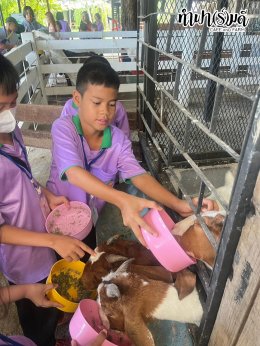 โรงเรียนวัดไผ่แก้ว 05 กันยายน 2568