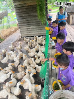 โรงเรียนเทศบาลบ้านศรีมหาราชา 3 กรกฎาคม 2568