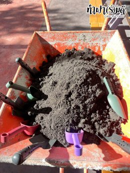 โรงเรียนศรีวิทยา 23 ธันวาคม 2568