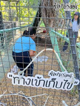 โรงเรียนศรีวิทยา 23 ธันวาคม 2568