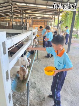 โรงเรียนศรีวิทยา 23 ธันวาคม 2568