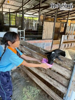 โรงเรียนศรีวิทยา 23 ธันวาคม 2568