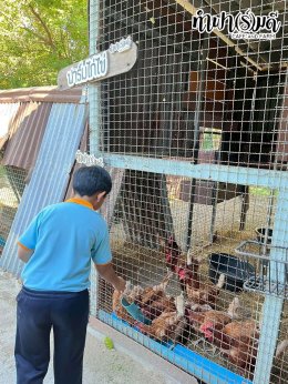 โรงเรียนศรีวิทยา 23 ธันวาคม 2568