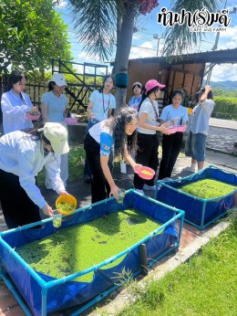 สำนักงานเทศบาลเมืองหนองกี่ อ.กบินทร์บุรี จ.ปราจีนบุรี 01 กันยายน 2568