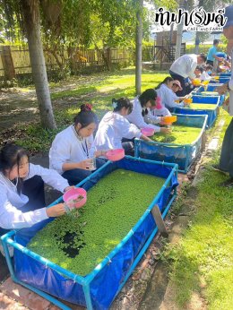 สำนักงานเทศบาลเมืองหนองกี่ อ.กบินทร์บุรี จ.ปราจีนบุรี 01 กันยายน 2568