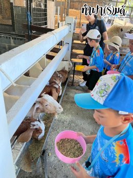 โรงเรียน สัตหีบ เขตกองเรือยุทธการ 08 ธันวาคม 2568