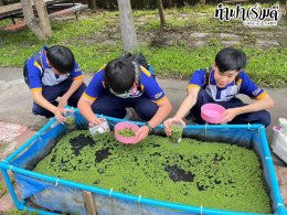 โรงเรียนสารสาสน์วิเทศชลบุรี 15 กันยายน 2568