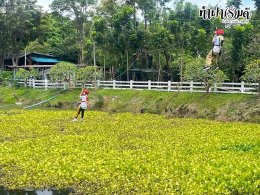 โรงเรียนสารสาสน์เอกตรา 8 ตุลาคม 2568