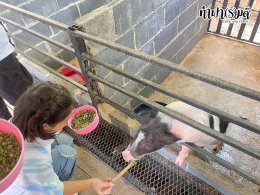 โรงเรียนสารสาสน์เอกตรา 8 ตุลาคม 2568