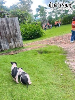 โรงเรียนสิรศาสตร์ศึกษา(อมตะ) 15 ตุลาคม 2568