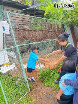 โรงเรียนบ้านหนองหัวหมู 14 ตุลาคม 2568