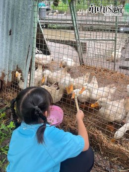 โรงเรียนบ้านหนองหัวหมู 14 ตุลาคม 2568