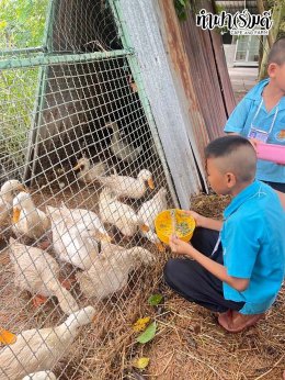 โรงเรียนบ้านหนองหัวหมู 14 ตุลาคม 2568