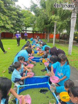 โรงเรียนบ้านหนองหัวหมู 14 ตุลาคม 2568