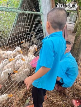 โรงเรียนบ้านหนองหัวหมู 14 ตุลาคม 2568