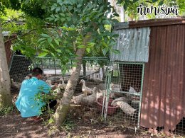 องค์การบริหารส่วนตำบลหนองบัว 19 สิงหาคม 2568
