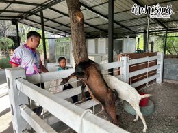 องค์การบริหารส่วนตำบลหนองบัว 19 สิงหาคม 2568