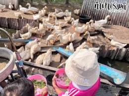 เทศบาลตำบลห้วยกะปิ โครงการฝึกศึกษาแหล่งเรียนรู้ 27 มกราคม 2568