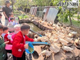 เทศบาลตำบลห้วยกะปิ โครงการฝึกศึกษาแหล่งเรียนรู้ 27 มกราคม 2568